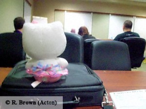 Hello Kitty at AMV Panel